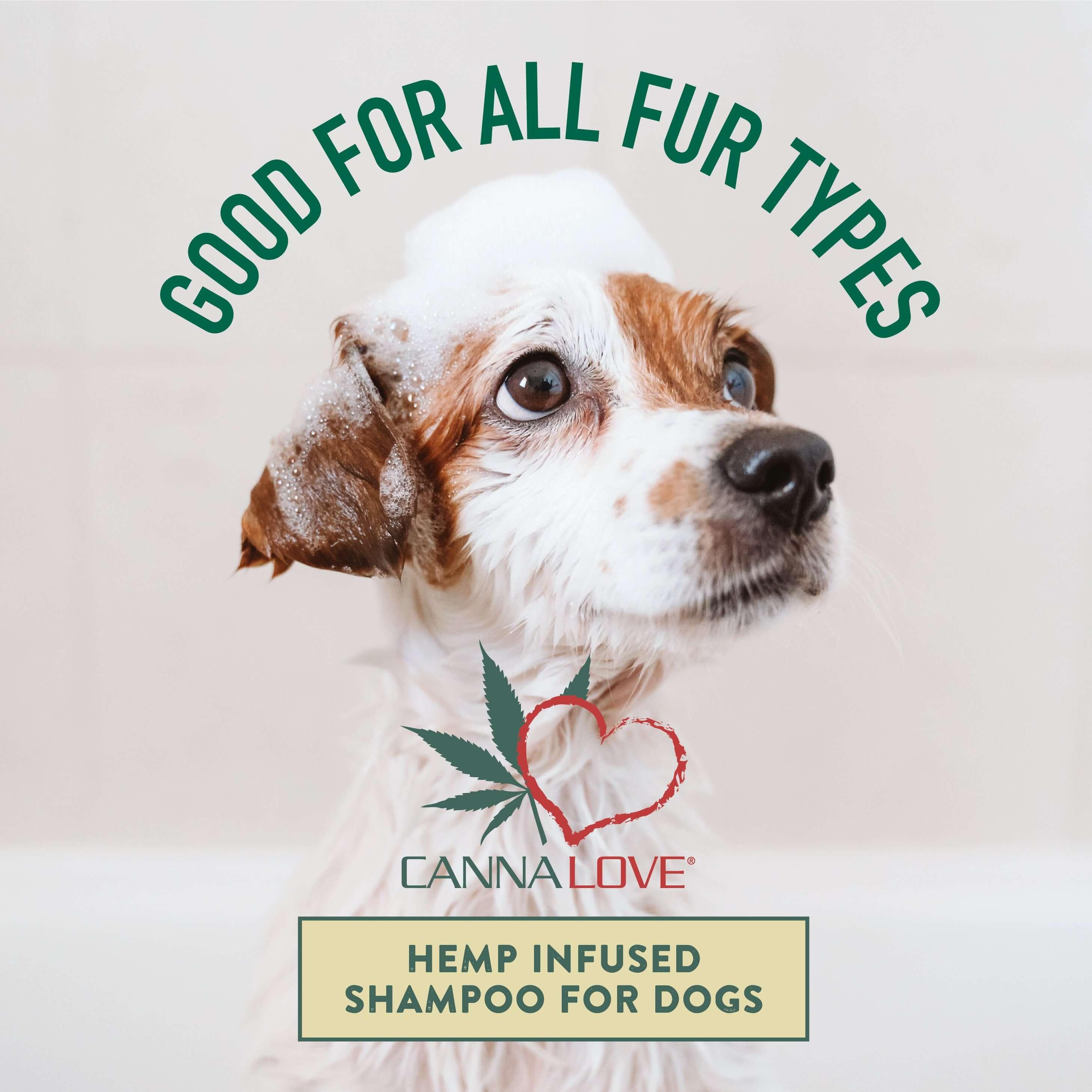 Antimicrobial Shampoo - Pet-FX