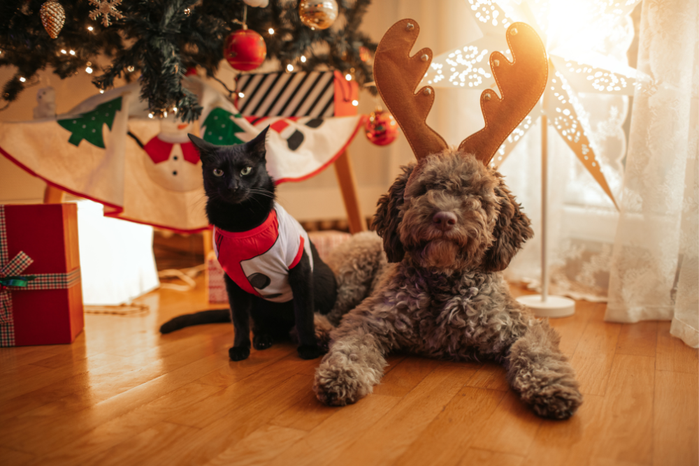 Tips to Keep Your Pets Safe This Holiday Season - Pet-FX