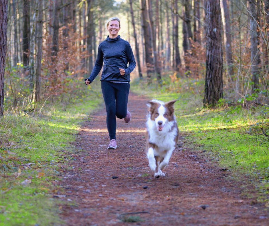 The Role of Exercise in Your Pet's Health and Happiness - Pet-FX