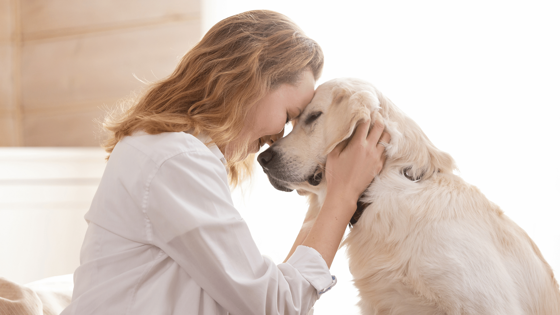 Natural Remedies for Pet Anxiety: How CannaHearts Can Help - Pet-FX